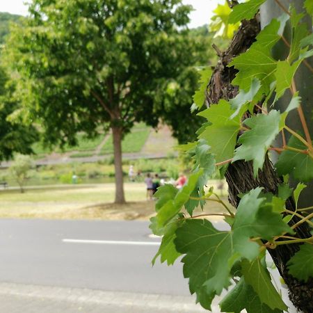 Ferienwohnung Moselblick Bruttig-Fankel Kültér fotó