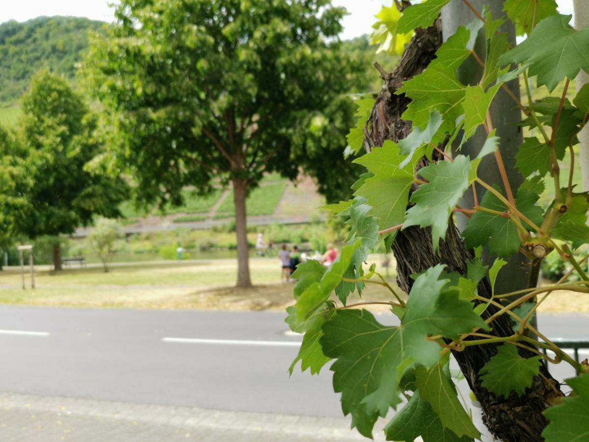 Ferienwohnung Moselblick Bruttig-Fankel Kültér fotó